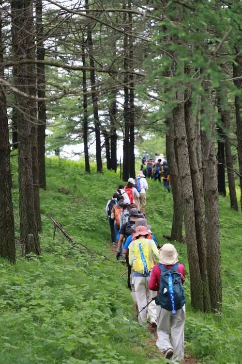 驼梁风景区天气预报，驼梁风景区天气预报一周7天查询-第4张图片-优品飞百科