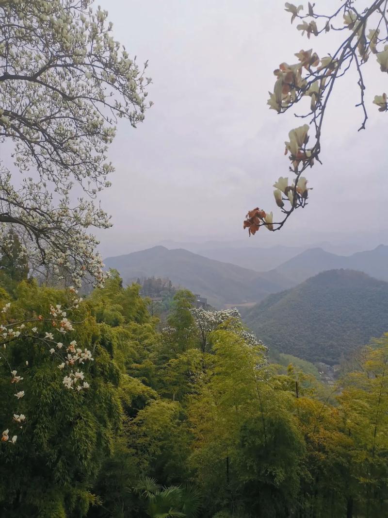 近一周杭州天气，近一周杭州天气情况？-第4张图片-优品飞百科