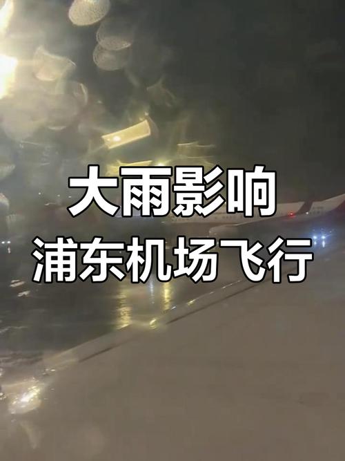 浦东上海浦东天气预报?上海浦东天气??-第5张图片-优品飞百科 浦东上海浦东天气预报?上海浦东天气??-第5张图片-优品飞百科