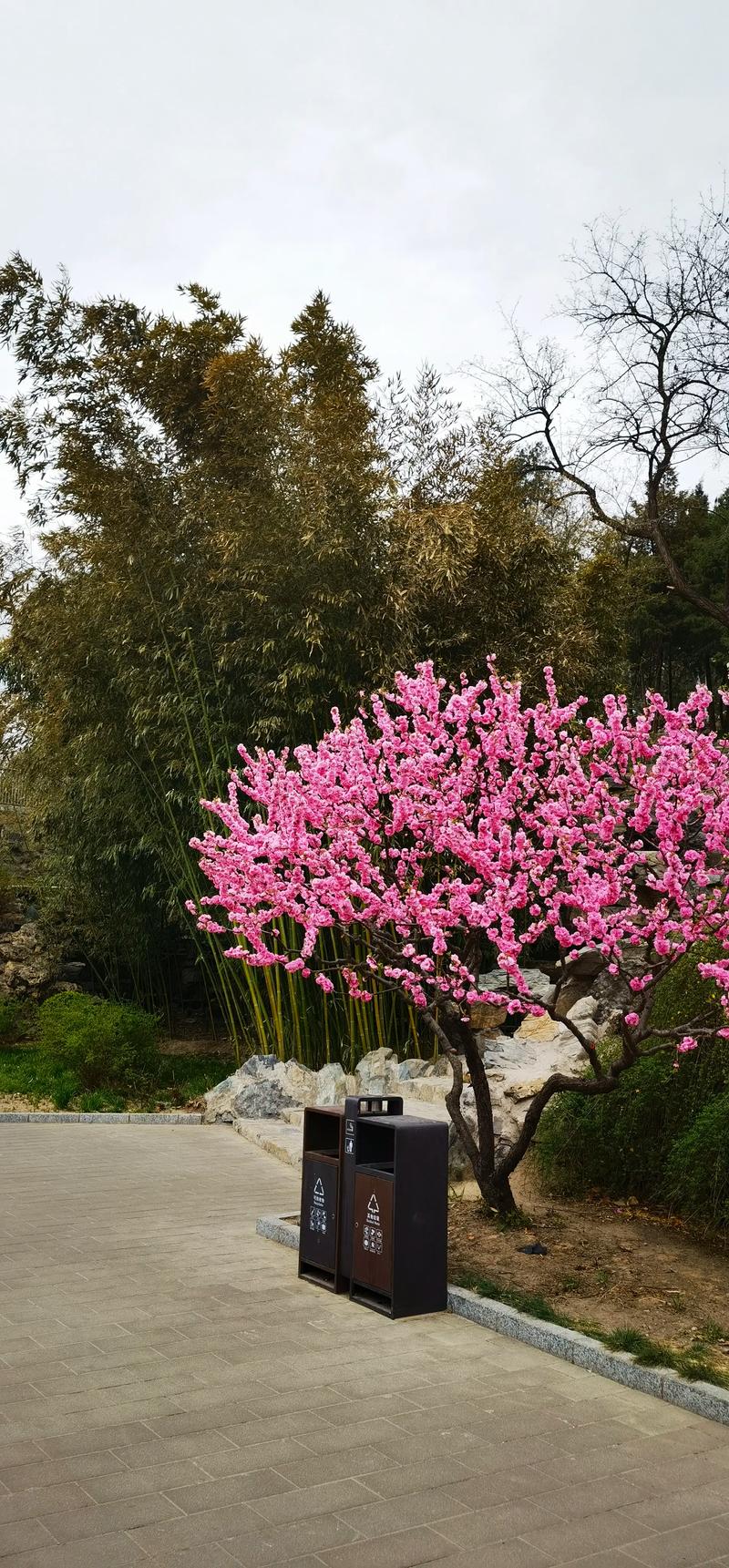 北京东城区实时天气预报，北京市东城区天气逐小时预报？-第4张图片-优品飞百科