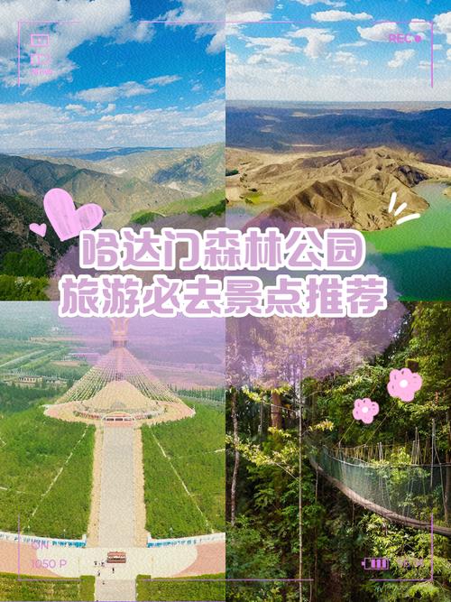 鸡东天气预报30天，鸡东天气预报天气24小时-第4张图片-优品飞百科