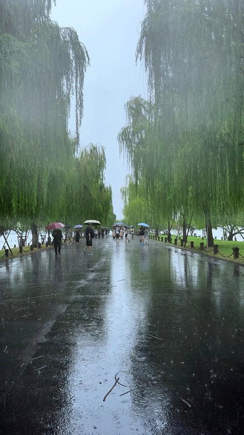 杭州天气实时播报24小时，杭州天气预报实时播报-第3张图片-优品飞百科