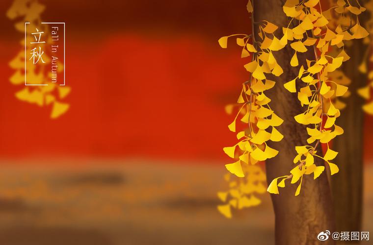 杭州天气预警发布？杭州天气预报预警？-第4张图片-优品飞百科