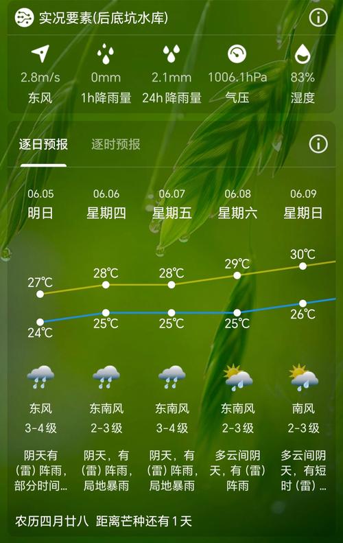 深圳南山天气24小时明细？深圳南山区天气24小时？-第7张图片-优品飞百科