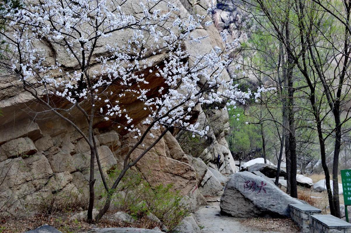 昌平区天气预报24小时实时，昌平区天气预报一周的天气-第3张图片-优品飞百科