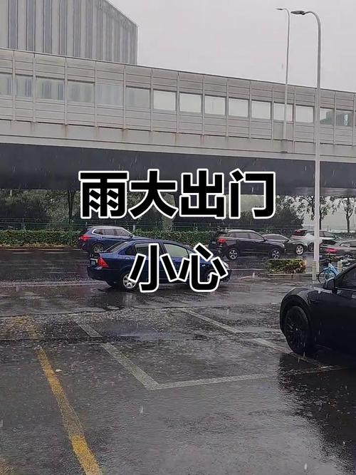 上海闵行天气情况最新，上海天气上海闵行天气