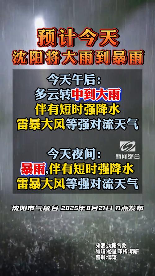 沈阳天气预报实时24小时？沈阳天气预报小时预报天气？-第3张图片-优品飞百科