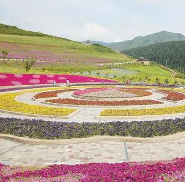 西宁天气预报15天查询天？青海天气穿衣建议？-第3张图片-优品飞百科