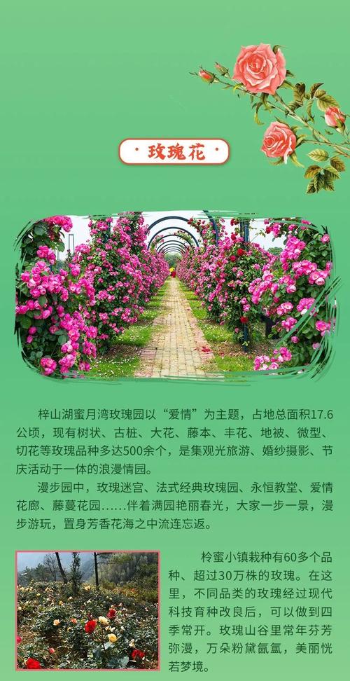 官桥天气预报，官桥镇天气-第2张图片-优品飞百科