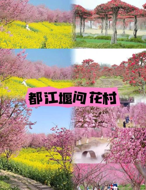 郫都天气预报？四川成都郫都天气预报？-第3张图片-优品飞百科