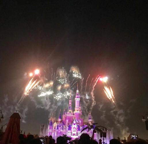 上海迪士尼现在天气多少度,上海迪士尼地区天气预报-第4张图片-优品飞百科 上海迪士尼现在天气多少度,上海迪士尼地区天气预报-第4张图片-优品飞百科