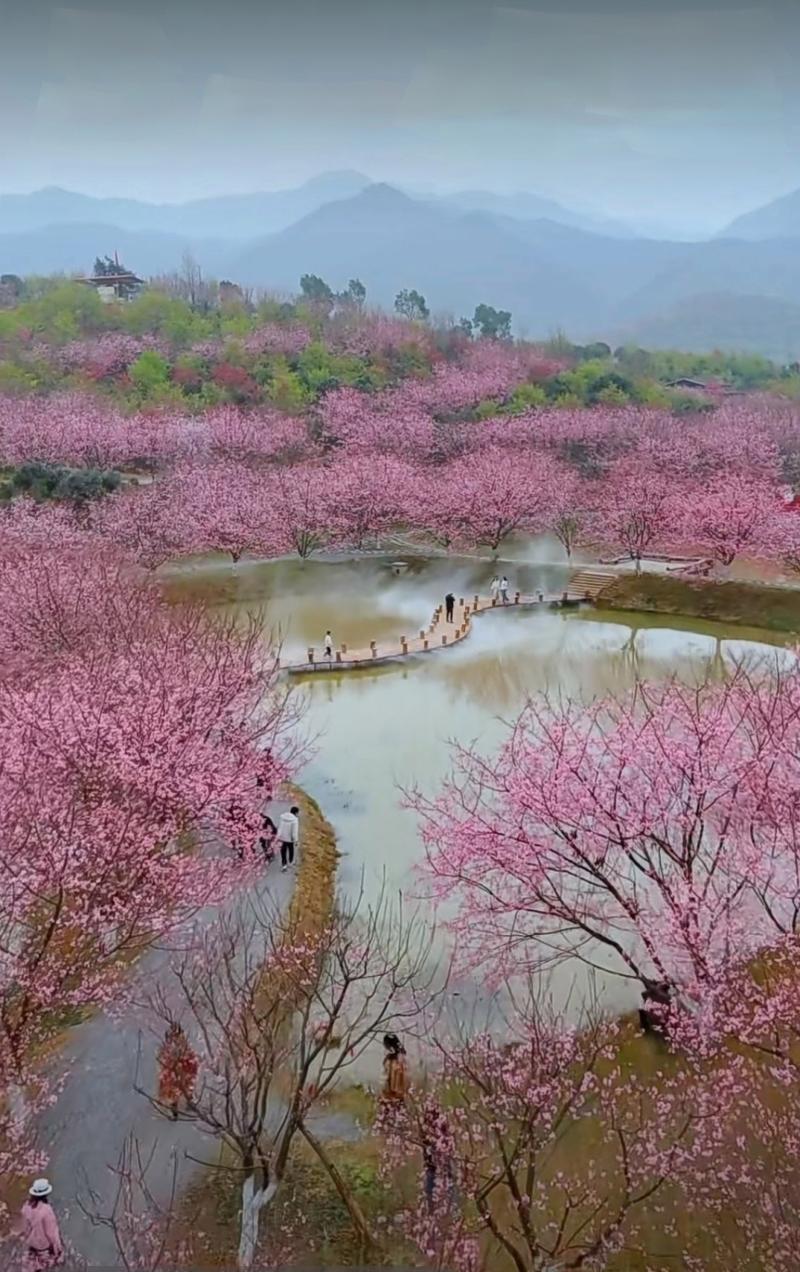 常宁市天气预报30天准确，常宁市天气预报30天准确查询-第2张图片-优品飞百科