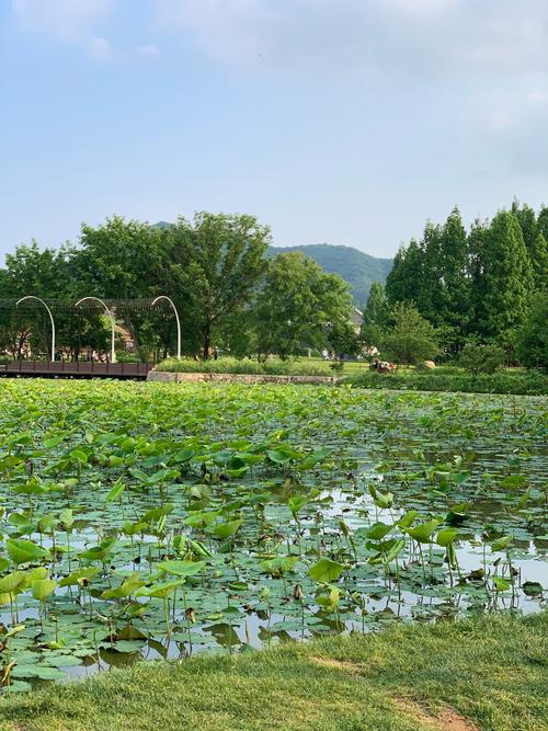 河南信阳天气预报30天，河南信阳天气预报15天气-第5张图片-优品飞百科