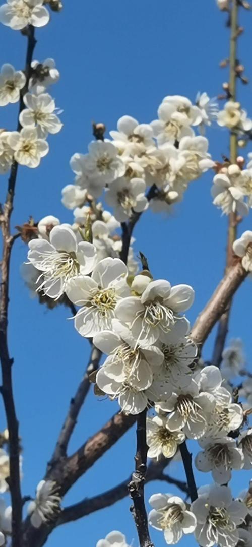 萝岗天气预报？萝岗天气预报24小时什么号？