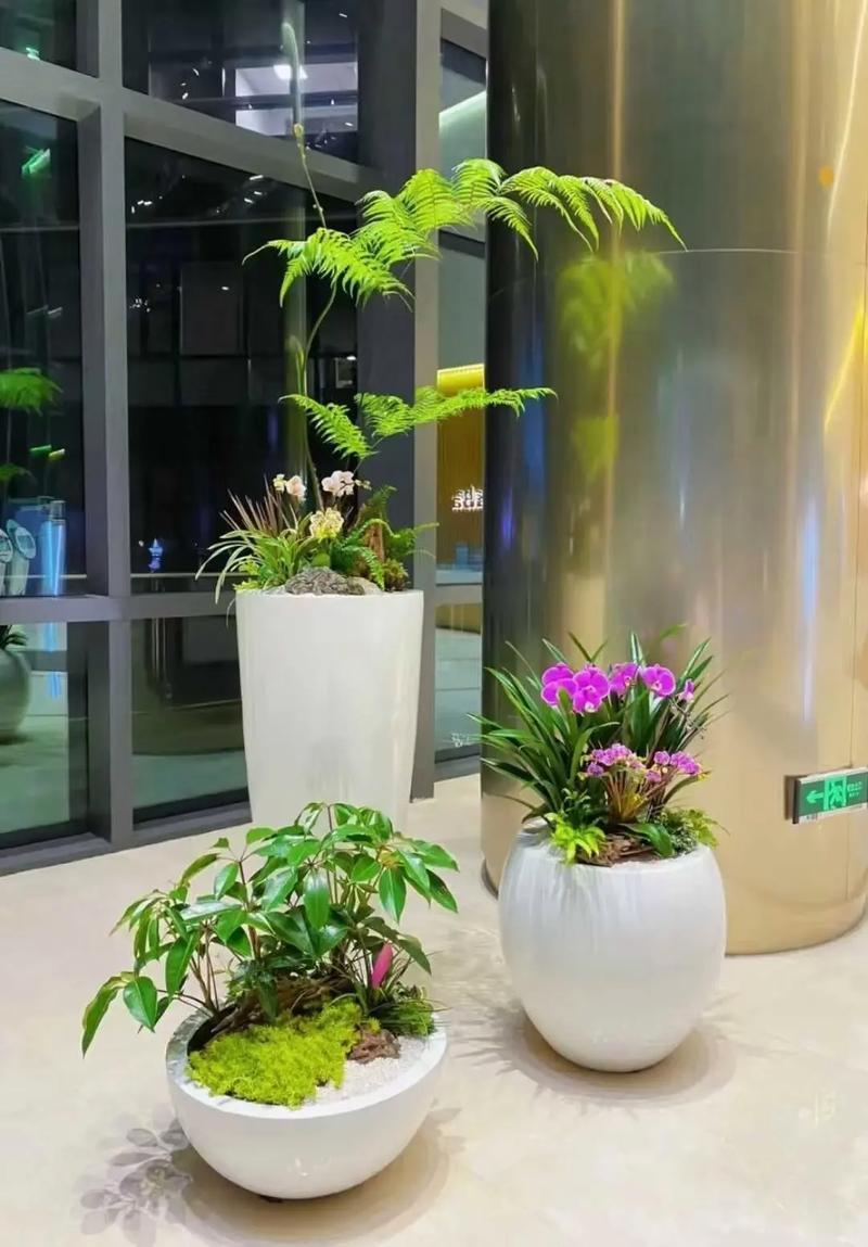 室内盆花如何摆放？室内盆花如何摆放图片？-第1张图片-优品飞百科
