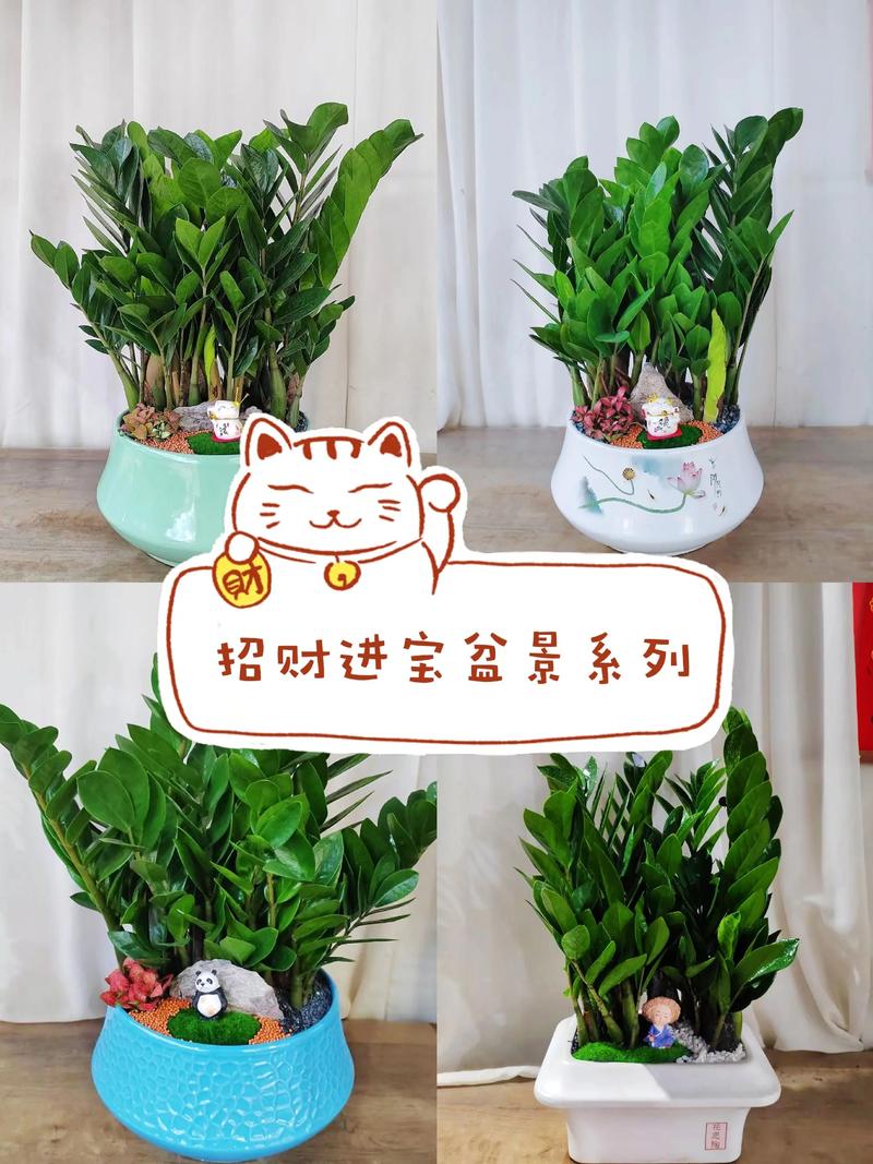 室内盆花如何摆放？室内盆花如何摆放图片？-第3张图片-优品飞百科