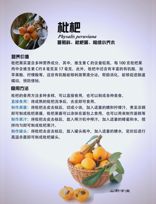 枇杷的功效与作用，枇杷的功效与作用是什么？-第4张图片-优品飞百科