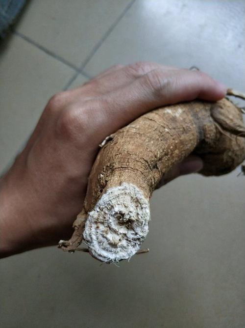 商路有毒吗，商路有什么用？-第4张图片-优品飞百科