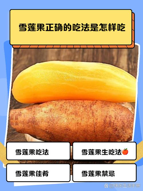 雪莲果是什么，雪莲果的吃法大全，雪莲果雪莲果的功效与作用