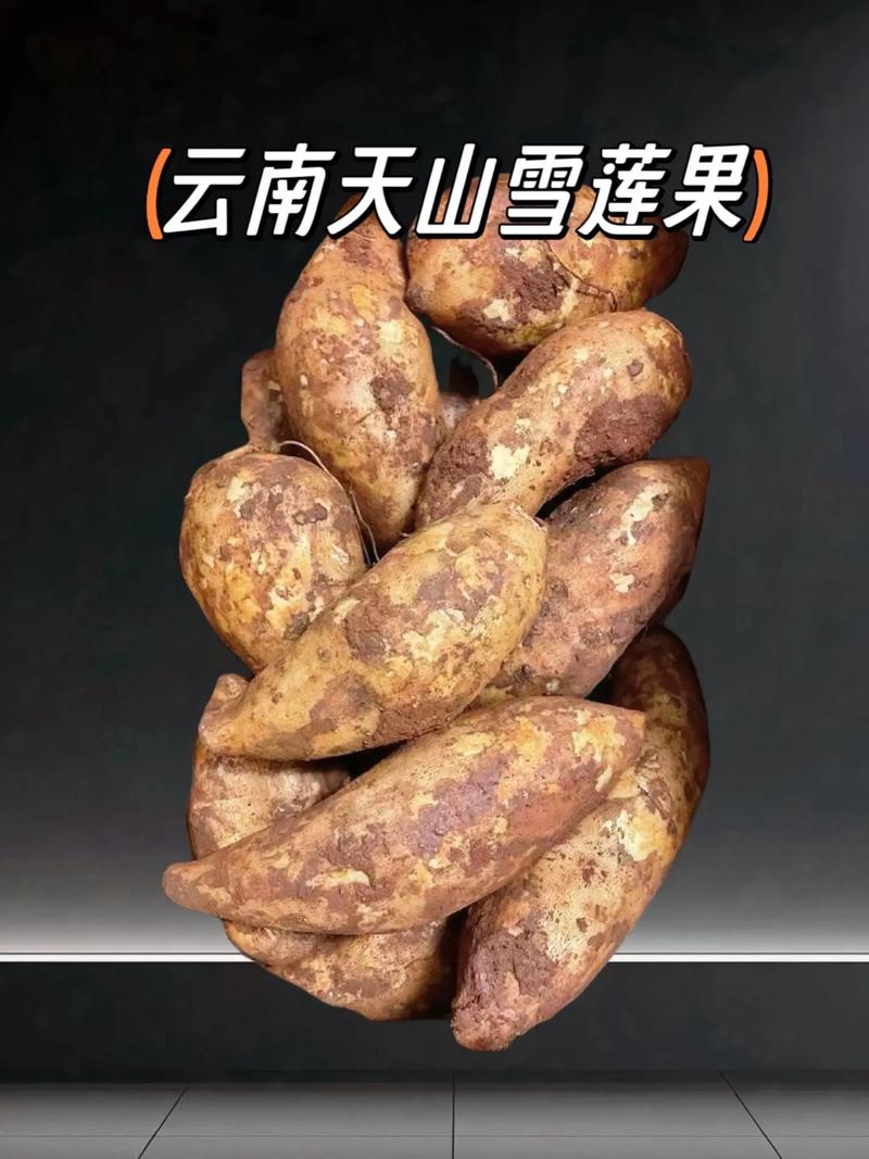 雪莲果是什么，雪莲果的吃法大全，雪莲果雪莲果的功效与作用-第2张图片-优品飞百科