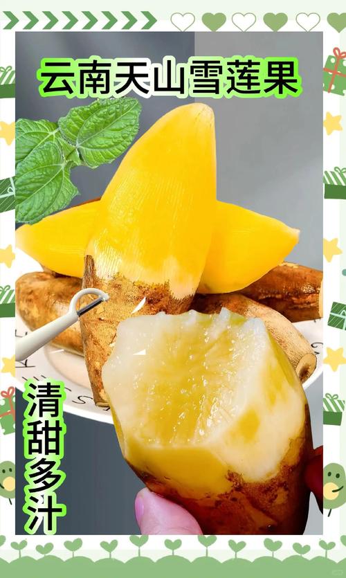 雪莲果是什么，雪莲果的吃法大全，雪莲果雪莲果的功效与作用-第5张图片-优品飞百科