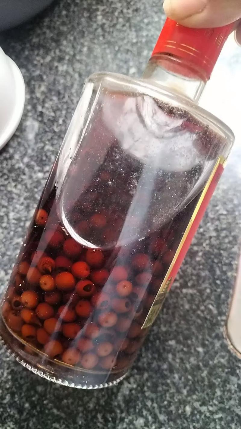 红豆杉泡酒要注意什么，红豆杉泡酒需要加些什么-第2张图片-优品飞百科