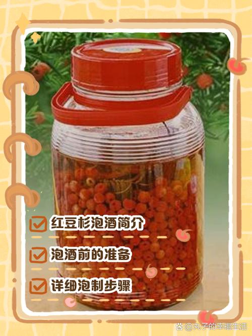 红豆杉泡酒要注意什么，红豆杉泡酒需要加些什么-第3张图片-优品飞百科