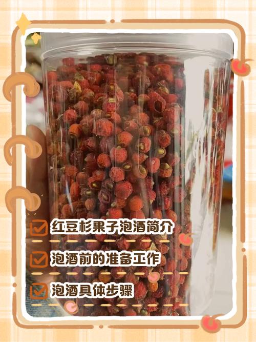 红豆杉泡酒要注意什么，红豆杉泡酒需要加些什么-第6张图片-优品飞百科