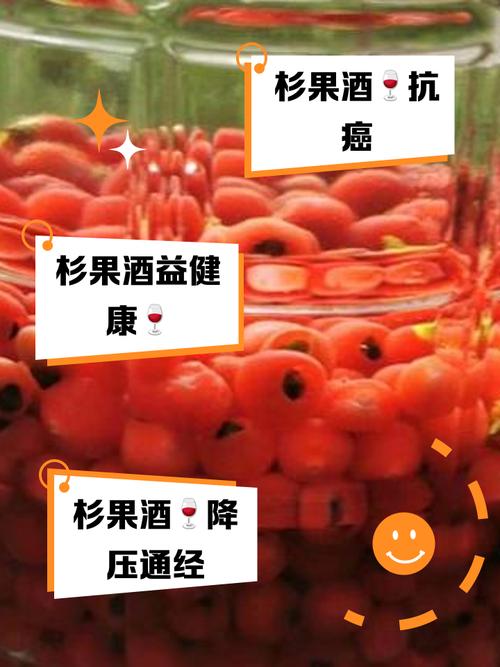 红豆杉泡酒要注意什么，红豆杉泡酒需要加些什么-第8张图片-优品飞百科