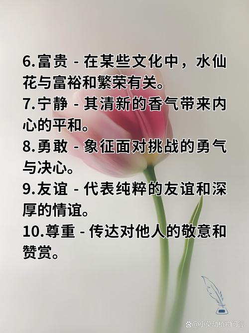 天女花的传说和花语,天女花图片?-第5张图片-优品飞百科 天女花的传说和花语,天女花图片?-第5张图片-优品飞百科