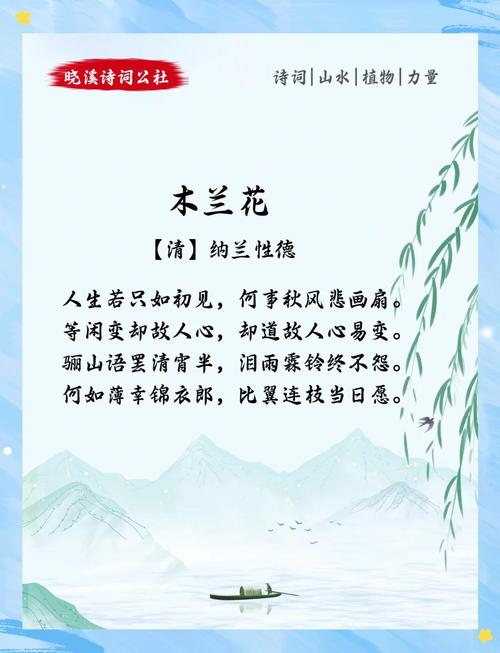 天女花的传说和花语,天女花图片?-第7张图片-优品飞百科 天女花的传说和花语,天女花图片?-第7张图片-优品飞百科