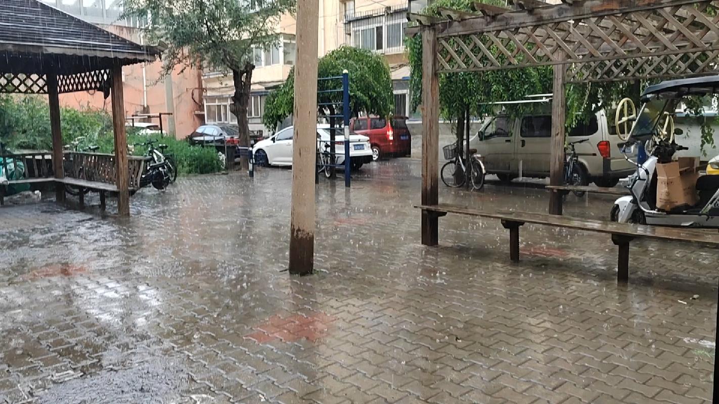 沈阳天气预报详细情况,沈阳天气预报最新消息-第4张图片-优品飞百科 沈阳天气预报详细情况,沈阳天气预报最新消息-第4张图片-优品飞百科