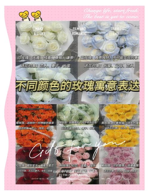 不同国家送花的禁忌,各个国家送花的禁忌-第1张图片-优品飞百科 不同国家送花的禁忌,各个国家送花的禁忌-第1张图片-优品飞百科