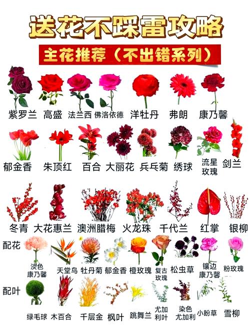 不同国家送花的禁忌,各个国家送花的禁忌-第4张图片-优品飞百科 不同国家送花的禁忌,各个国家送花的禁忌-第4张图片-优品飞百科