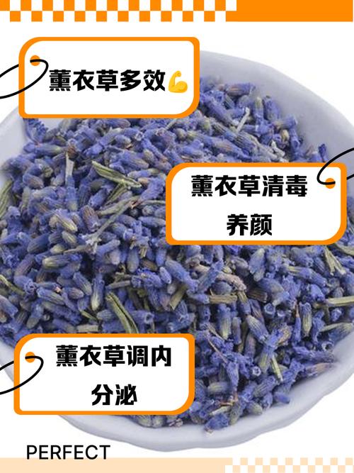 薰衣草的功效与作用，薰衣草的功效与作用有哪些
