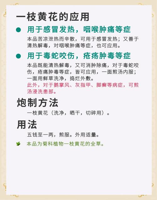 一枝黄花的功效与作用，贵州百灵一枝黄花的功效与作用？