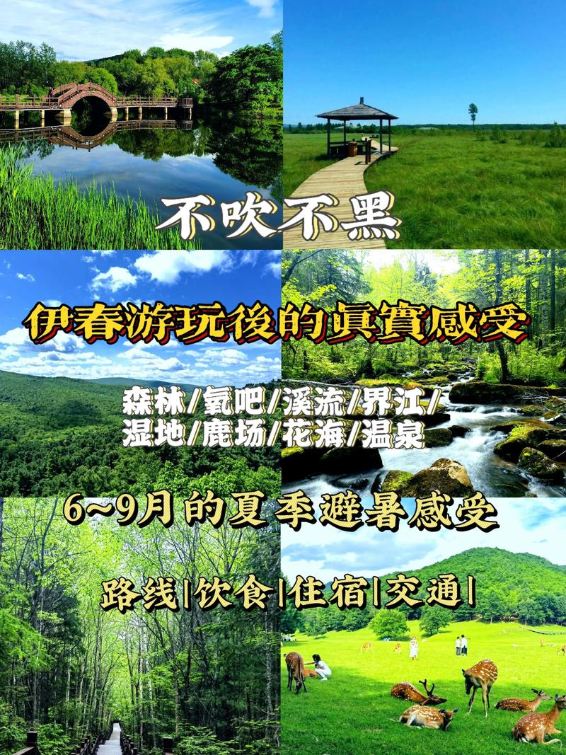 乌马河天气预报，乌马河最新消息-第3张图片-优品飞百科