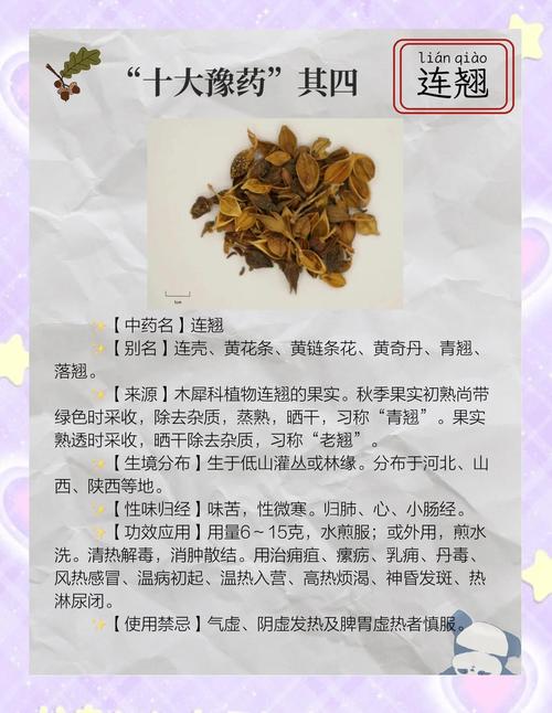 连翘的花语及传说？连翘花的别名有哪些？