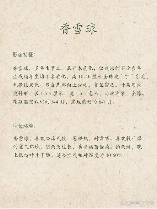 香雪球的花语及作用？香雪球是什么花？-第5张图片-优品飞百科
