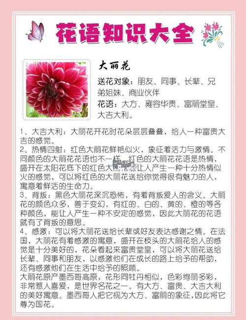 大丽花的花语和寓意，有什么传说故事？大丽花花语及象征？-第3张图片-优品飞百科
