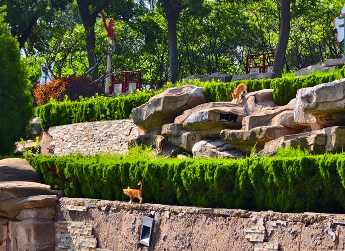 常州新北区天气预报，常州新北区天气预报40天？-第2张图片-优品飞百科