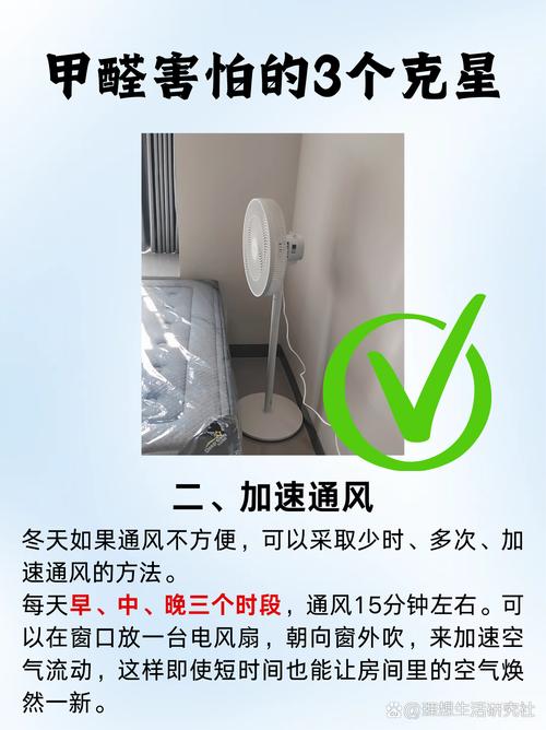 家里养银皇后有哪些好处？银皇后好养活吗？-第2张图片-优品飞百科