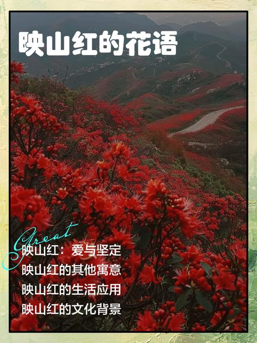 映山红的花语是什么，有什么寓意？？映山红的花语是什么,有什么寓意吗？-第5张图片-优品飞百科