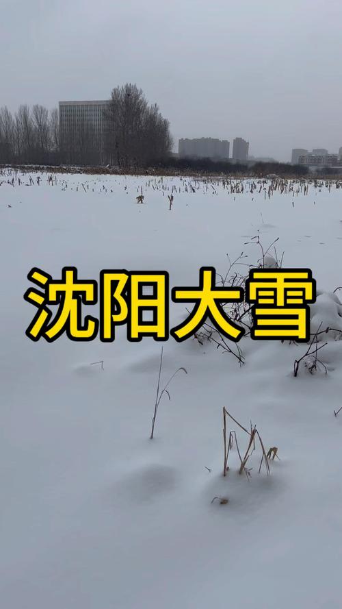 沈阳新民天气预报一周,沈阳天气新民天气?-第2张图片-优品飞百科 沈阳新民天气预报一周,沈阳天气新民天气?-第2张图片-优品飞百科