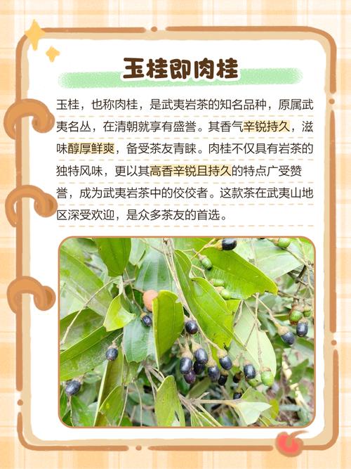 肉桂功效，肉桂怎么吃，肉桂的效果和作用-第2张图片-优品飞百科