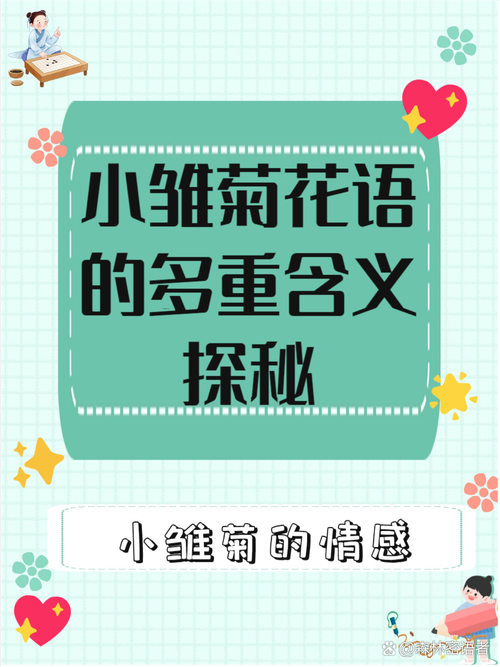 小雏菊花语，小雏菊图片，小雏菊的花语和寓意适合送给哪些人