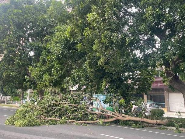 甘肃东乡天气预报，甘肃东乡天气预报一周-第5张图片-优品飞百科