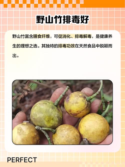 山竹的功效与作用，水果山竹的功效与作用