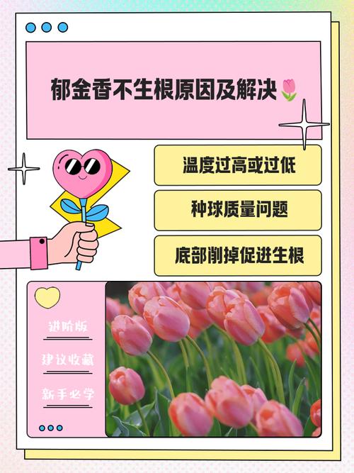 郁金香有毒吗？郁金香有毒吗可以在家里养吗？-第3张图片-优品飞百科