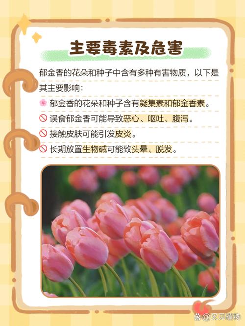 郁金香有毒吗？郁金香有毒吗可以在家里养吗？-第6张图片-优品飞百科